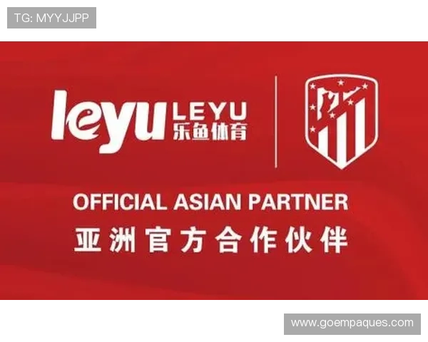 乐鱼体育中国官方网安全保障措施解析，确保用户个人信息和资金安全无忧